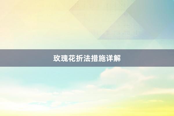 玫瑰花折法措施详解