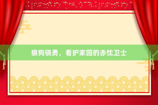 狼狗骁勇，看护家园的赤忱卫士